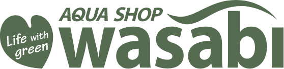 AQUASHOP wasabi